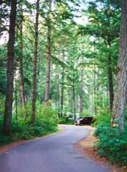 beautiful clean campground