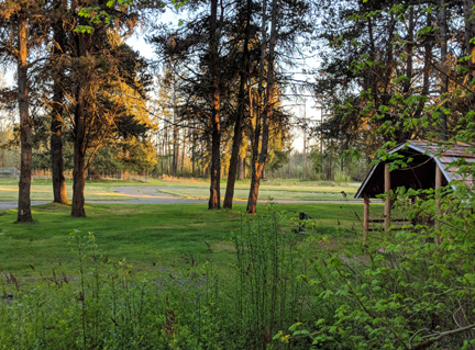 Looking Out the Cabin Front Door