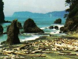 ruby beach