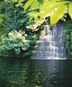Tenino Quarry Swimming Hole